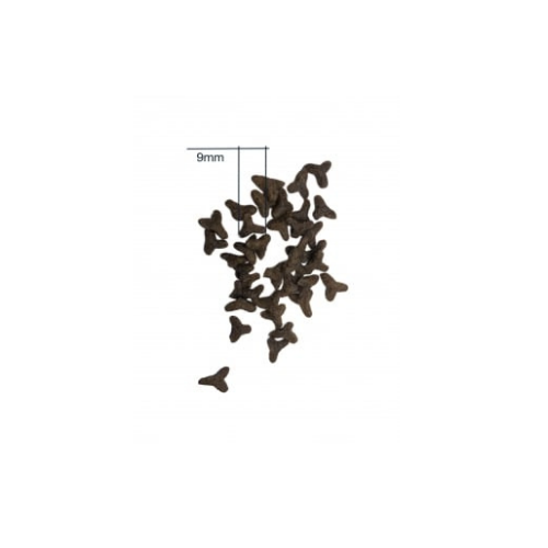 Wolfood Original Cat Amp Kitten Animazoo Nourrir Au Naturel