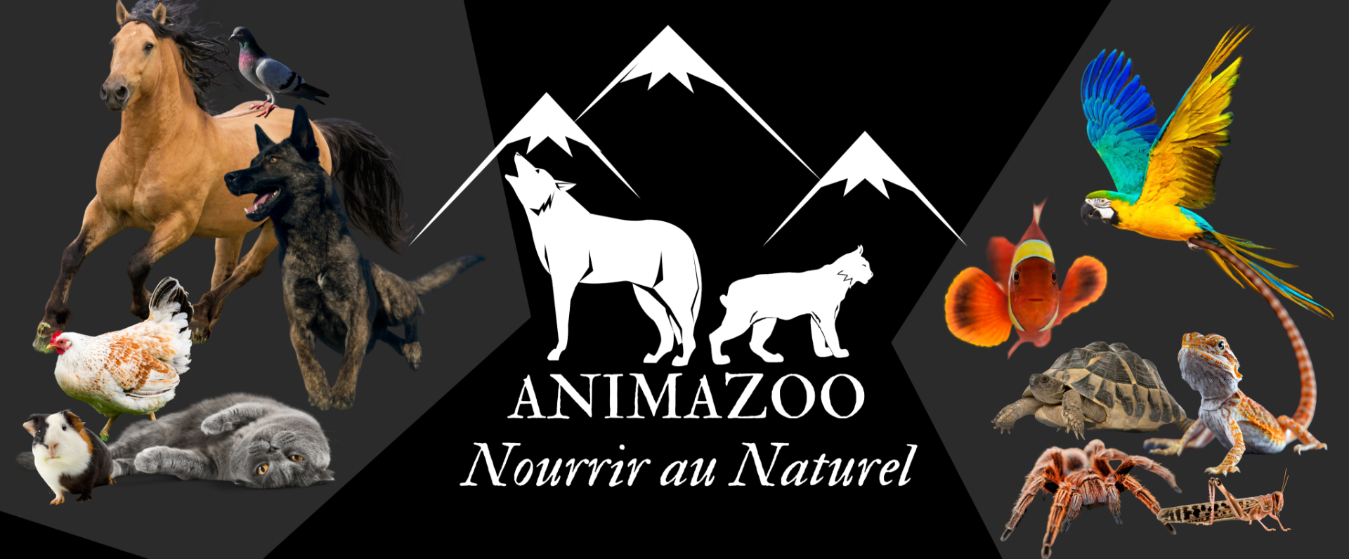 animazoo_bienvenue-sur-notre-boutique-en-ligne